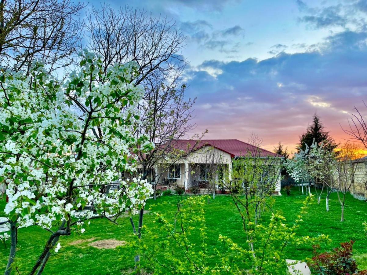 One Dom Cottage Gabala Eksteriør bilde