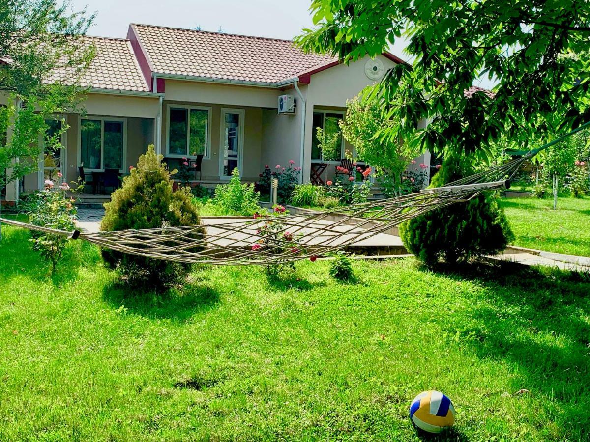 One Dom Cottage Gabala Eksteriør bilde