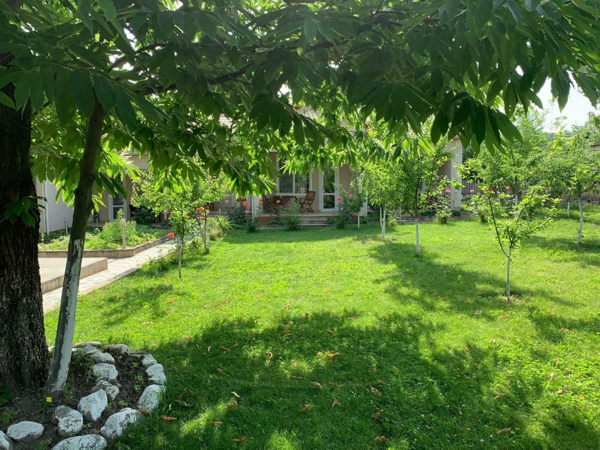 One Dom Cottage Gabala Eksteriør bilde